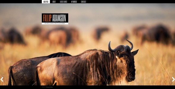 шаблон фотогалереи портфолио фотографа