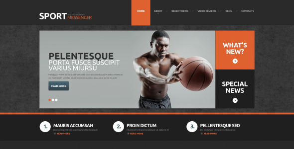 спортивные новости отзывчивая тема wordpress