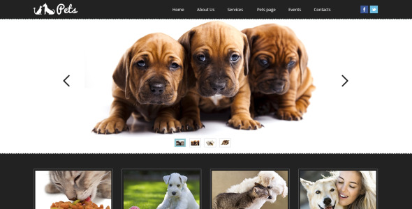 pet shop отзывчивый шаблон сайта