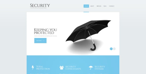безопасность отзывчивая тема wordpress