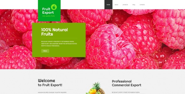 экспорт фруктов шаблон joomla