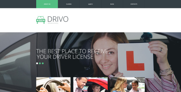 шаблон сайта гибкой школы трафика