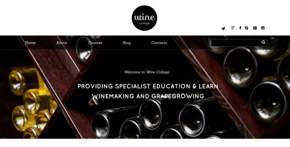 шаблон веб-сайта wine responsive