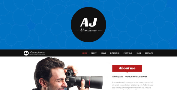 страница модного фотографа wordpress theme