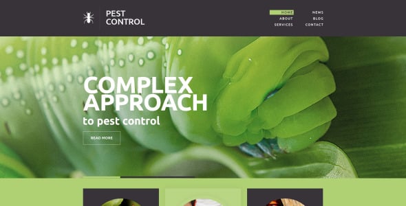 адаптивный шаблон веб-сайта для борьбы с вредителями