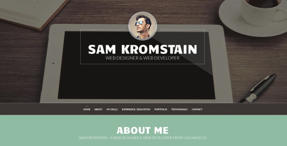 веб - разработчик cv wordpress тема