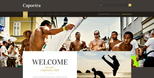 боевые искусства отзывчивая тема wordpress