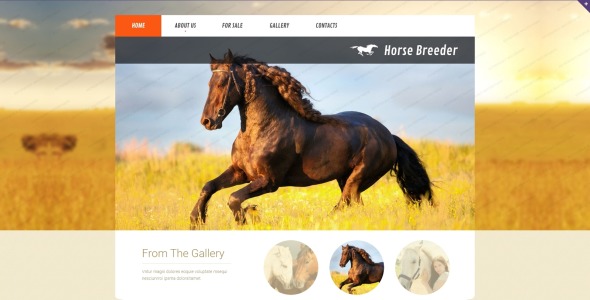 шаблон веб-сайта horse responsive