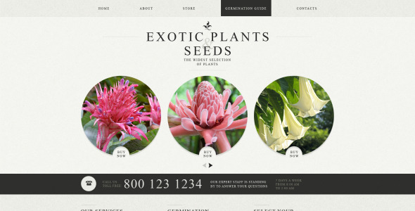 адаптивный шаблон сайта garden design