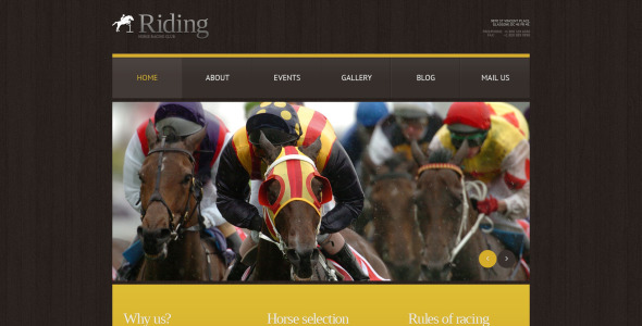 конные скачки отзывчивая тема wordpress