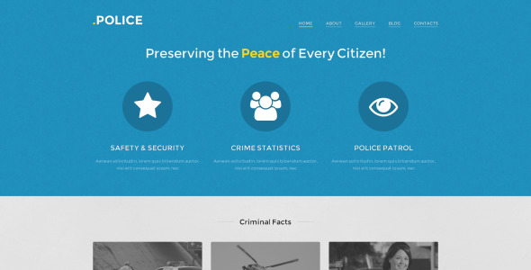 полицейская отзывчивая тема wordpress
