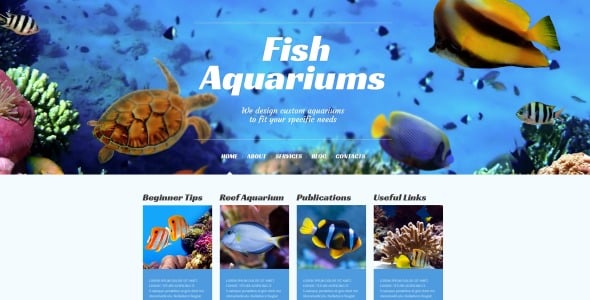 fish responsive wordpress theme