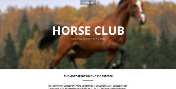 роскошная тема wordpress для ухода за породой лошадей