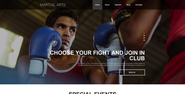 адаптивный шаблон сайта боевых искусств
