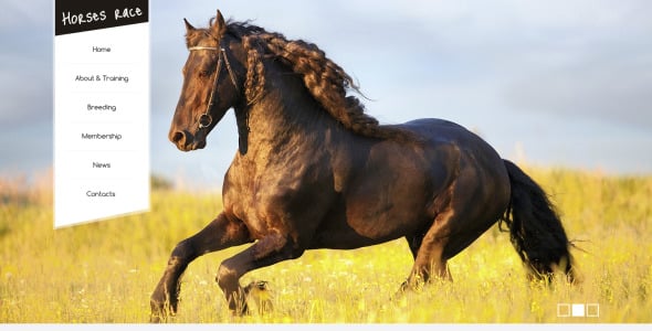 скачки drupal шаблон