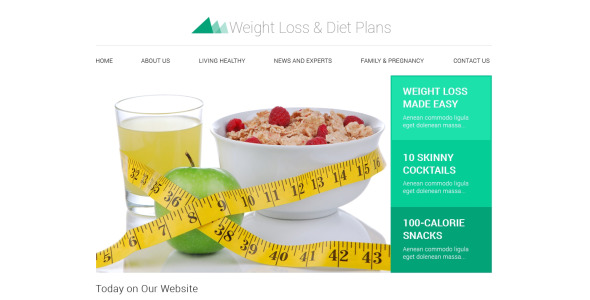 адаптивный шаблон сайта для похудения