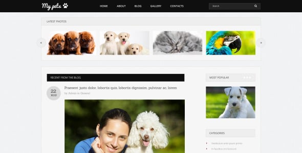 руководство по домашним животным шаблон drupal