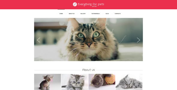 vet consulting drupal шаблон