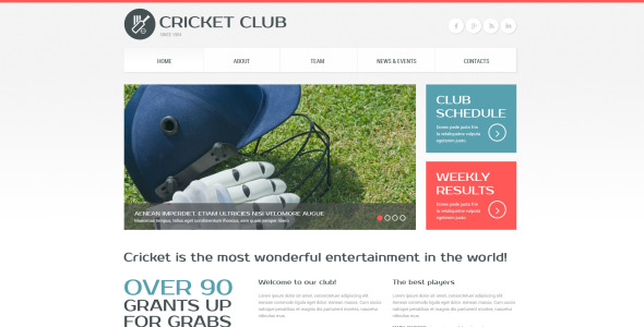 крикет отзывчивый шаблон сайта