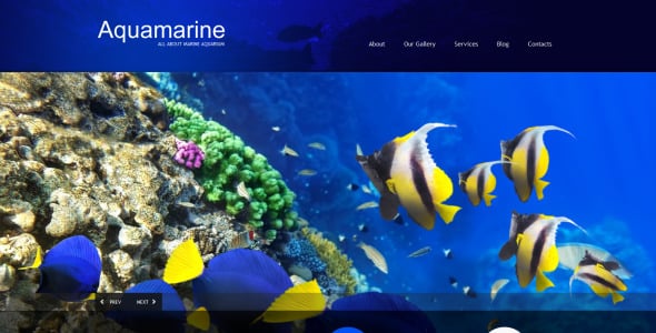 рыба отзывчивая тема wordpress