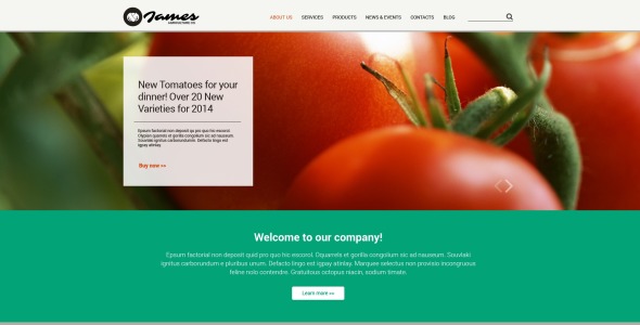 фруктовый адаптивный шаблон сайта