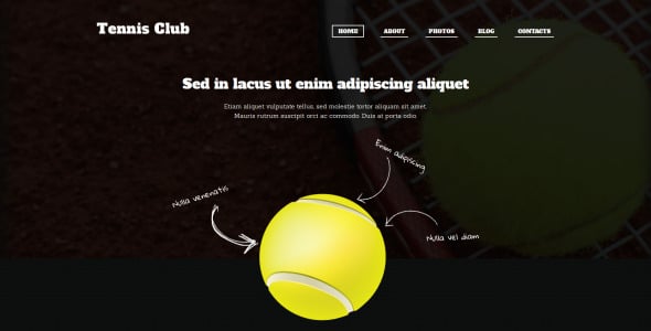 теннис отзывчивая тема wordpress