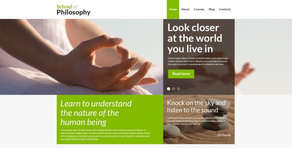 тема wordpress life of joy