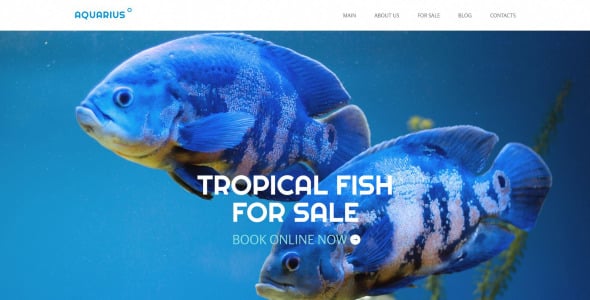 рыбный адаптивный шаблон сайта