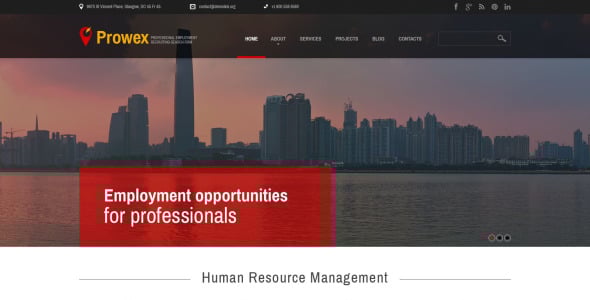 профессиональная занятость wordpress тема