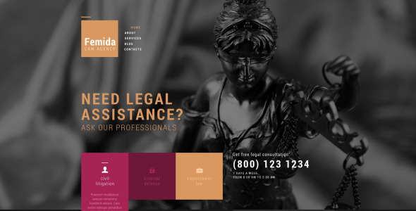 public justice agency wordpress тема