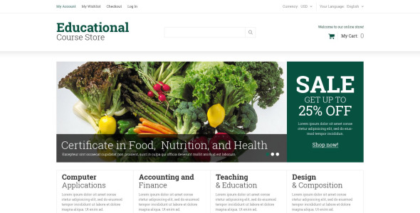 образовательные курсы magento theme
