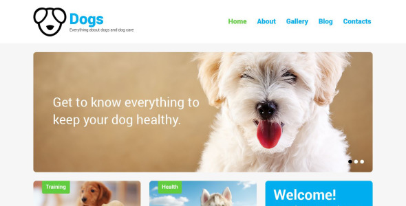собака отзывчивая тема wordpress