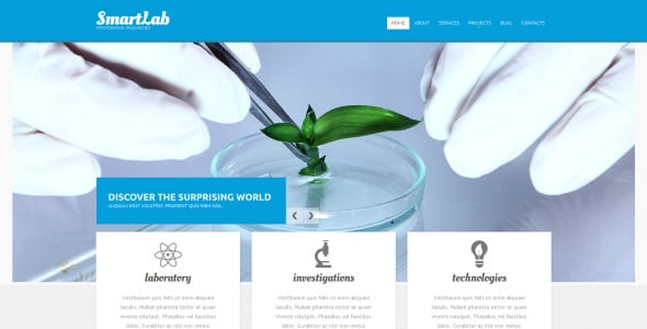 science lab отзывчивый шаблон drupal