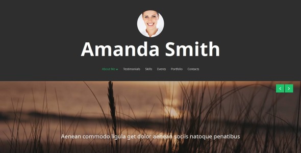 шаблон персональной страницы moto cms 3