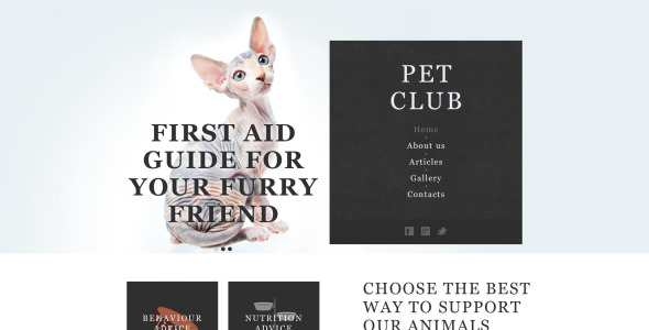 животные и домашние животные муза шаблон