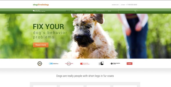 собака отзывчивая тема wordpress