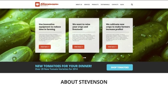 сельское хозяйство Сельское хозяйство шаблон joomla