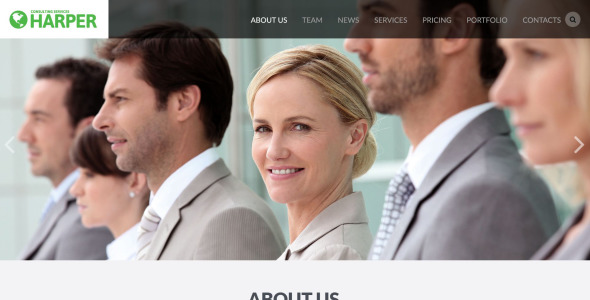 шаблон сайта Агентства бизнес-консалтинга