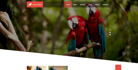 шаблон сайта экзотических птиц