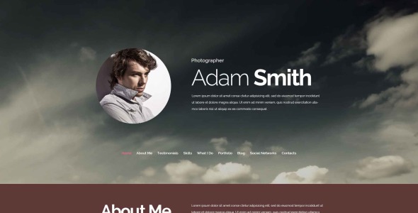 профессиональный фотограф drupal шаблон