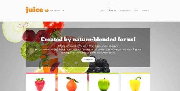 продовольственный магазин отзывчивая тема wordpress