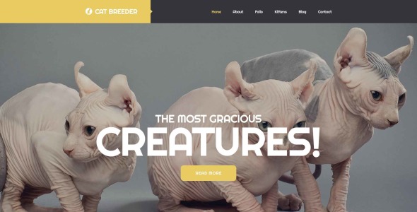 шаблон сайта заводчиков кошек