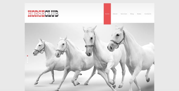 тема wordpress horse club