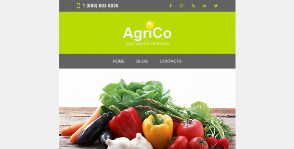 адаптивный шаблон информационного бюллетеня сельского хозяйства