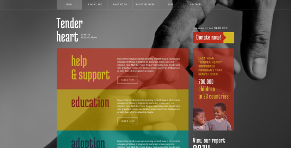 благотворительная тема wordpress