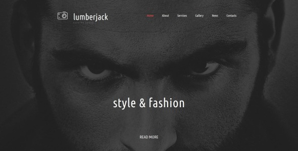 портфолио фотографа moto cms 3 шаблон