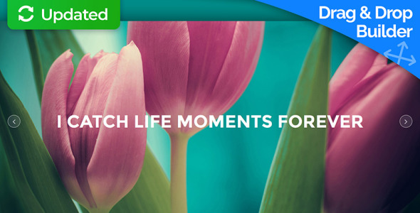 фотограф портфолио moto cms 3 шаблон