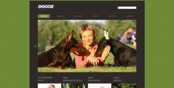 шаблон сайта курсов щенков