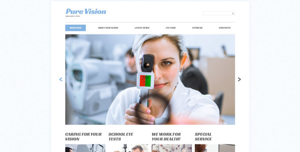 шаблон сайта pure vision