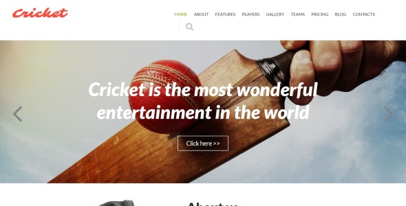 шаблон cricket club joomla